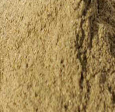 GINSENG SIBERIAN POWDER